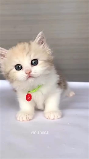 Aww so cute 🥰