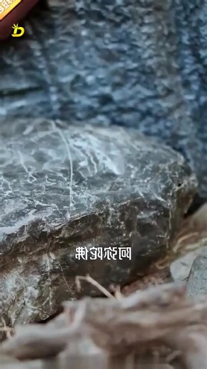 Video của Danh Mặp RV (@danh.mp.rv) với bản nhạc nhạc nền - Danh Mặp RV