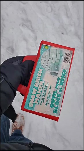 Snow Fort Building: Creative Tips Using Rubbish Snow