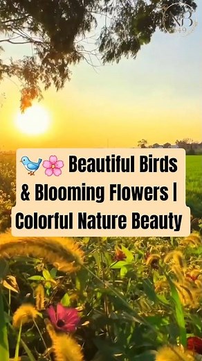 🐦🌸 Beautiful Birds & Blooming Flowers | Colorful Nature Beauty by NaturalBeauty349