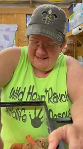 111K views · 2.5K reactions | Wild Heart Fear Factor! | Wild Heart Ranch | Facebook