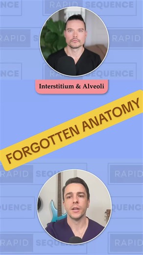 Interstitium is the forgotten anatomy of the lungs! But so important, so much pathology hides here! … Want to learn more? Need CME? Want imaging board review prep? Free content? Check out our website: rapidsequenceradiology.com 🧠 … #emergency #emergencymedicine #radiology #education #criticalcare