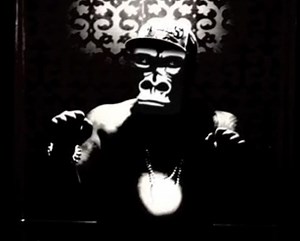 Gorilla Zoe - Work
