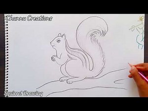 Squirrel Drawing / squirrel Drawing easy / How to draw squirrel step by step