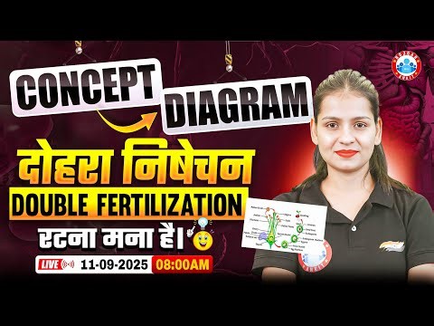 Bihar Board Class 12 Biology Double Fertilization | दोहरा निषेचन | Double Fertilization Diagram