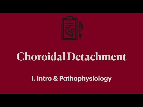 Choroidal Detachment. I. Introduction & Pathophysiology