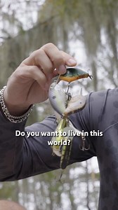 You Don't Understand until You Use it! Get the new BUZBE Lure Sleeves now! | Buzbe
