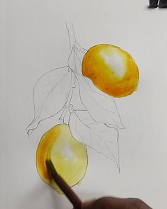 48K views · 873 reactions | Watercolor lemon painting easy Watercolor painting on paper #watercolorpainting #lemon #art #artist #drawing | Arti artdrawing | Facebook