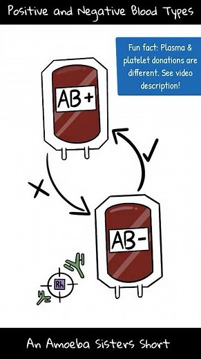Positive and Negative Blood Types - Amoeba Sisters #Shorts