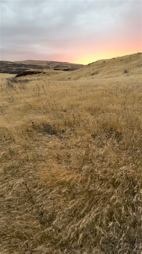 Windy Sunset at Lyons Ferry (slow motion) | Paul Allen