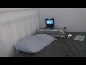 Opening To Little Einstein Flight of the Instrument Fairies 2020 dvd