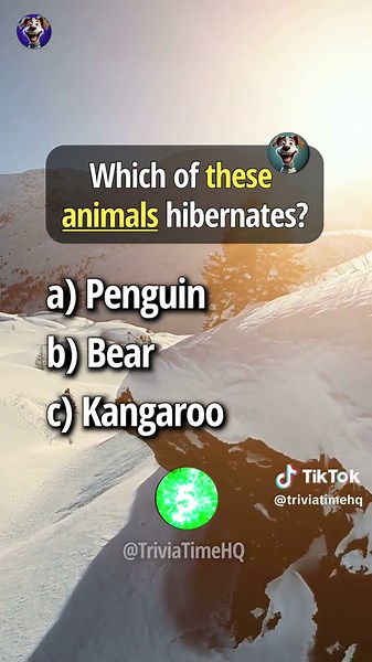 Interactive Trivia Game Challenge