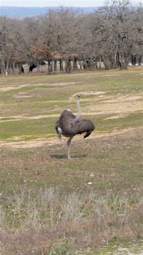 29K views · 697 reactions | One is arguably the world’s best...