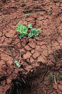 Mapping moisture