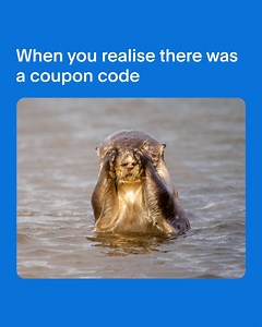 20 comments | When you checkout and realise you could have saved $$$ with PayPal @Honey Shop without regrets by downloading Honey's free browser extension to get automatically applied discount coupons across thousands of websites. #HoneyByPayPal #LinkinBio | PayPal | Facebook