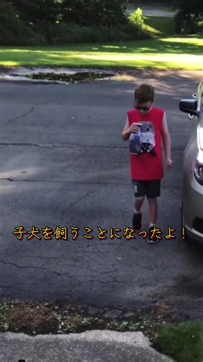 おばあちゃんと子犬の面白リアクション動画