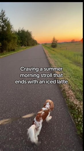Summer Morning Walks: The Perfect Start