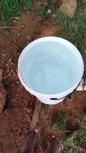 Ngangigcine nin ukthwala ibhakede 🙆‍♀️ 25lt ngfike ngzwile ekhaya 😫 Ngikhumbule ekhaya ke manje kwankomo zinya uPolishi🔥😍 #fypシ゚ #bhincaNation #trendingreelsvideo #fypシ゚viralシfypシ゚ #fypviralシ | Wendy Maphalala