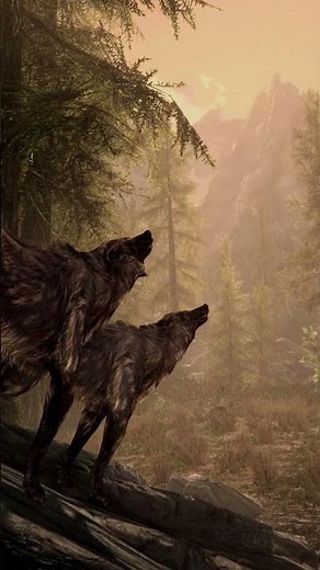 The Elder Scrolls V: Skyrim - Falkreath Hold