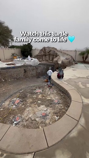 Little touches, big impact Watch these turtle mosaics come to life on the Baja shelf, bringing a playful, tropical vibe to this pool remodel! What kind of mosaics would you add to your pool? | Majestic Pool Construction | Facebook