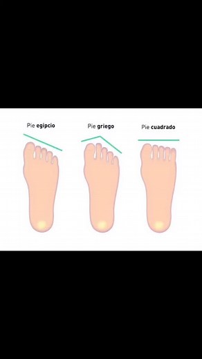 ¿CÓMO SE LLAMAN LOS DEDOS DE LOS PIES? Pulgar, índice, corazón,...
