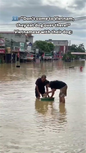 DON'T come to Vietnam - They EAT dogs 😨 Dogs in Vietnam belike ✅