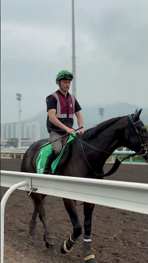 Team green in Hong Kong ☘️🇮🇪 LION IN WINTER, LOS ANGELES, GALEN & AL RIFFA prepare for #HKIR25