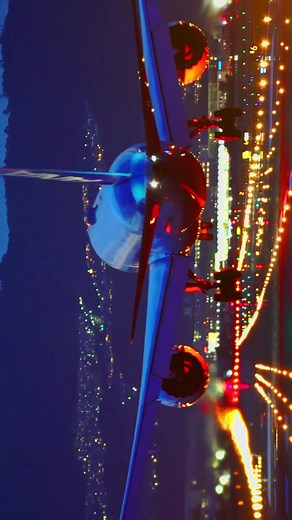 #綺麗な景色 #伊丹空港 #千里川土手 #飛行機 #癒し