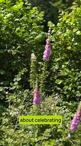 Featuring Eastern Road Nature Reserve's 30th anniversary | Lindfield Life