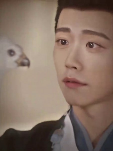 Pursuit of Jade: Li Qing dan Gongsun Yin