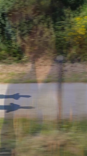 1.1K views · 17 reactions | La Vélo Parade revient en 2026 sur la...