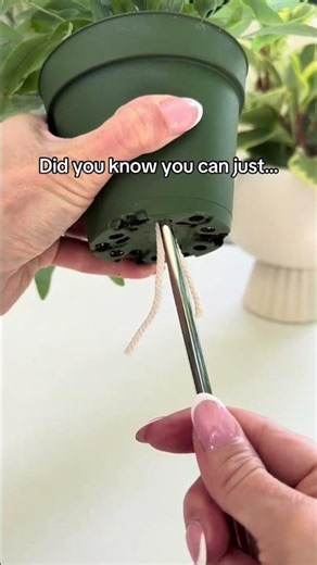 Make an easy self watering setup for your plants #garden #ihavethisthingwithplants #plantdiy