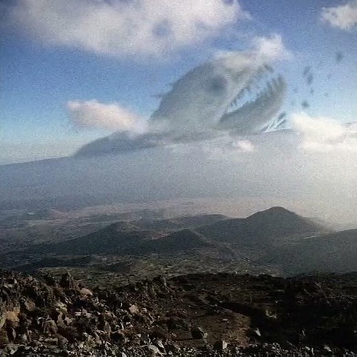 trevor henderson Behemoth