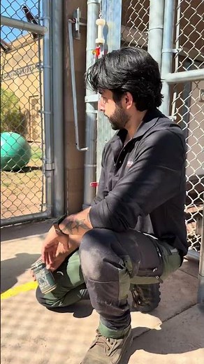 Roars & Pours at the Phoenix Zoo!