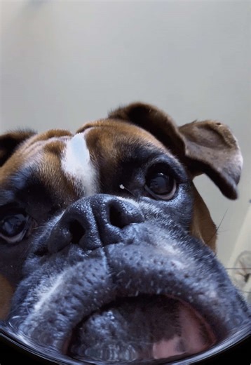 lifewithKevinRed on TikTok