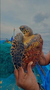 EP-07 | What Happens If You Eat a Sea Turtle? 😱🐢 | Day4 at Sea 🌊 #Minivlog #indianoceanfisherman