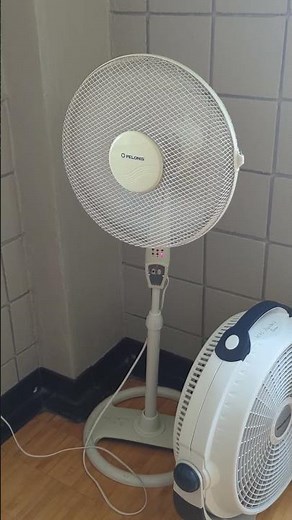 Pelonis FS40-G5 Pedestal Fan #fans #sighting #shorts #pelonis