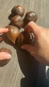 13K views · 90 reactions | Have you ever tried snake fruit? I...