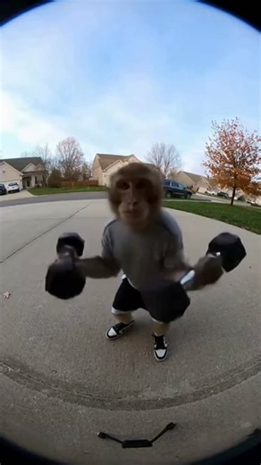 eonix core on Instagram: "this year, we locked in fr #monkey"