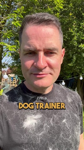 12K views · 165 reactions | Just typical dog trainer things - and we...