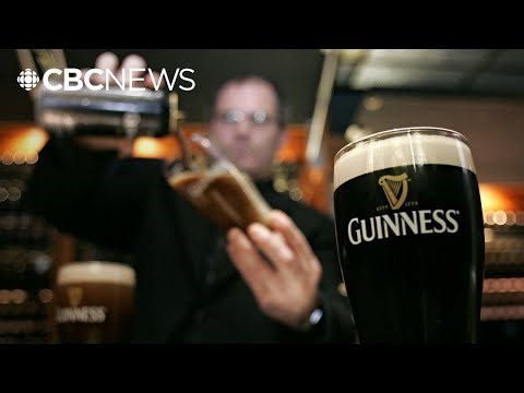 International Stout Day: How many glasses of Guinness are poured every day? The number is staggering