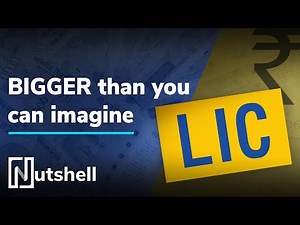 LIC Explained | Nutshell Wellness