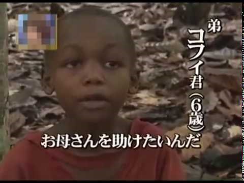 カカオ農園で働き続ける兄弟