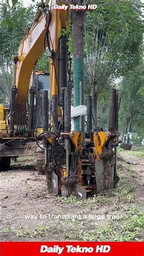 Moving Trees Like a Boss 🌳 #TreeSpade