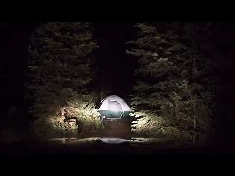 Bigfoot Screams Recorded by Hunter in BC