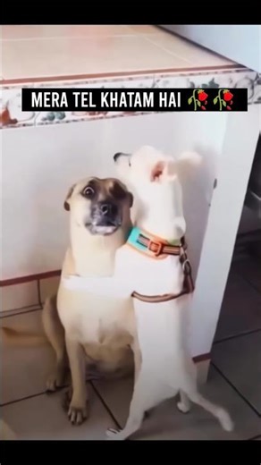 Skill Issue I guess !!! - Codm #codm #funnyclips #memes