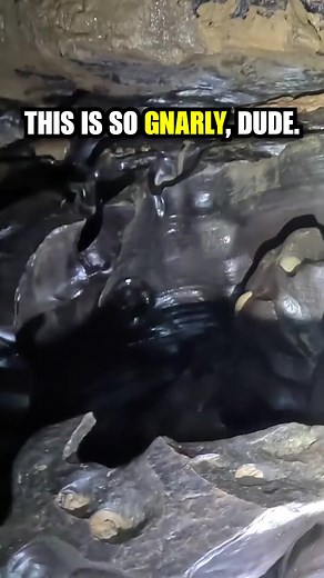 280 Foot Waterfall Rappel | Action Adventure Twins