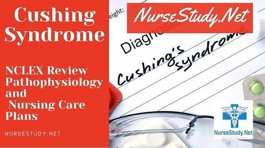Cushing's Syndrome Nursing Diagnosis & Care Plan - NurseStudy.Net