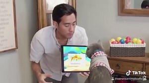 Reuploading my video with @zachking Performing magic trick with cats | Aaron's Animals
