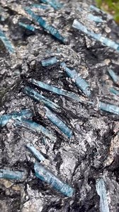 4.5K views · 133 reactions | HUGE Australian Ocean Kyanite Cluster!...